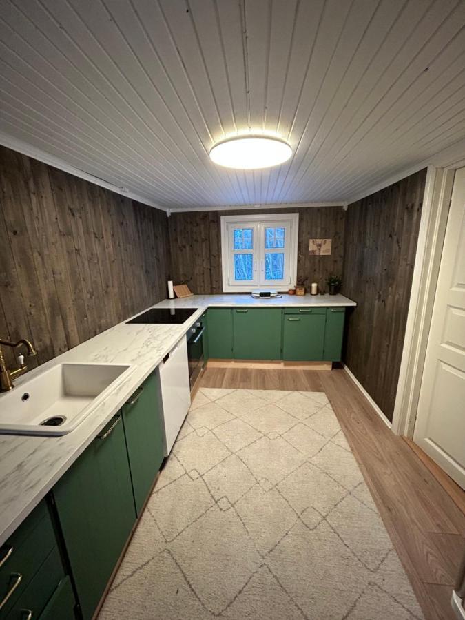 Beautiful Cabin By Mjosa. Villa Stange Kültér fotó